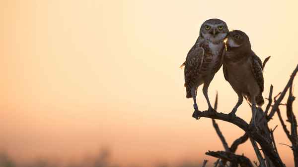 Super/Natural Poster 6