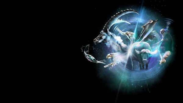 Super/Natural Poster 4