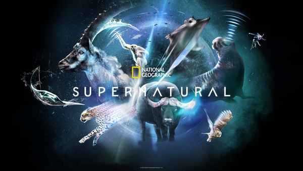 Super/Natural Poster 3