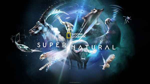 Super/Natural Poster 5