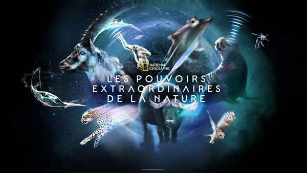 Super/Natural Poster 2