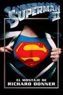 Superman II: The Richard Donner Cut Poster 6
