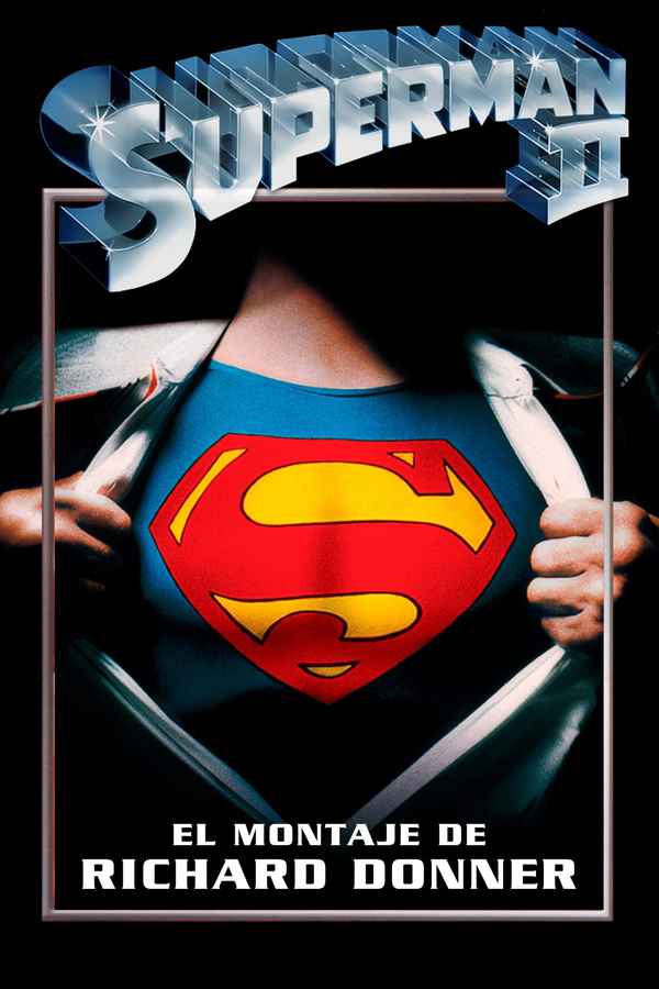 Superman II: The Richard Donner Cut Poster 6
