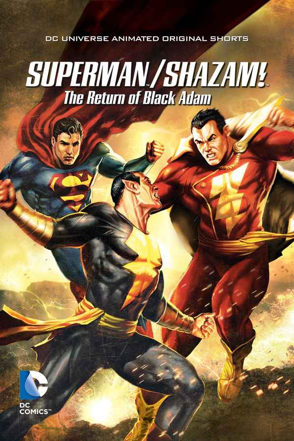 Superman/Shazam!: The Return of Black Adam Poster 5