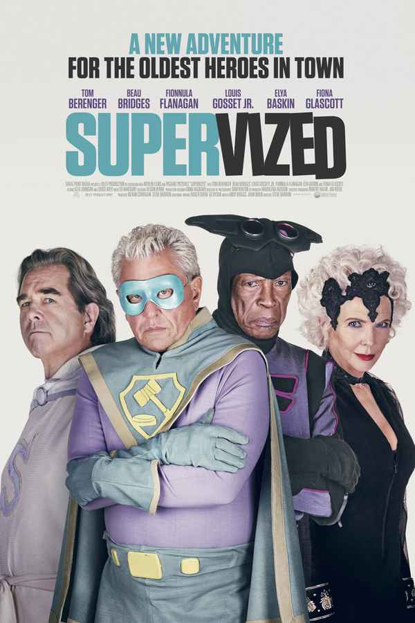Supervized Poster 5