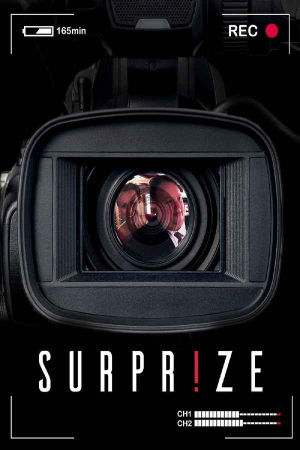 Surprise Poster 6