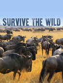 Survive the Wild Poster 7
