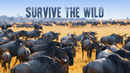 Survive the Wild Poster 3