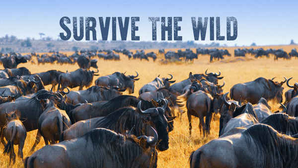 Survive the Wild Poster 3