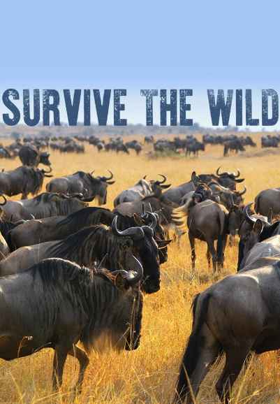 Survive the Wild