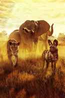 Surviving Paradise: A Family Tale Poster 7