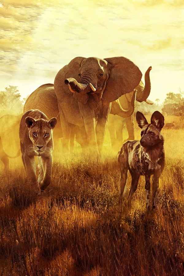 Surviving Paradise: A Family Tale Poster 7