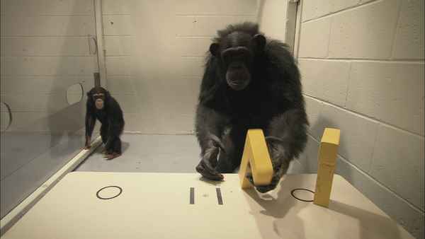 Surviving Progress Poster 1