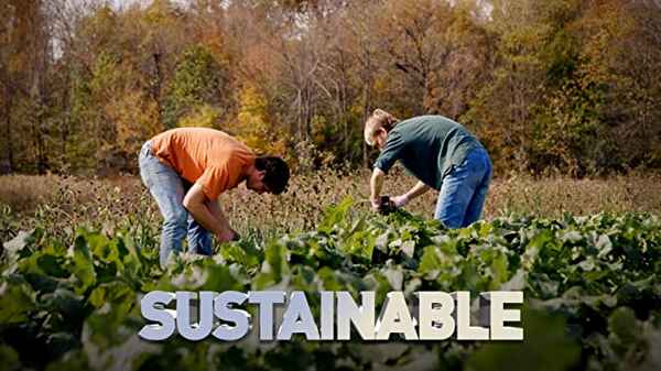 Sustainable Poster 1