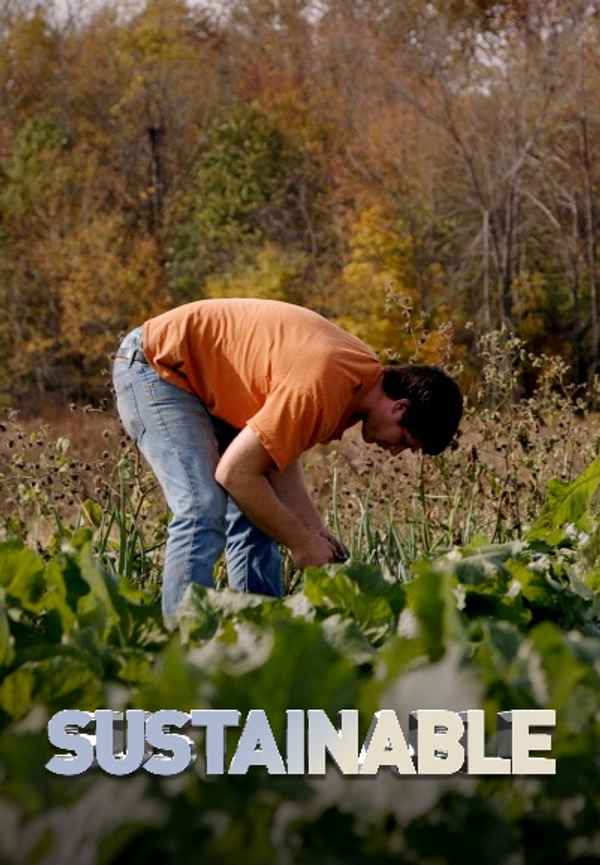 Sustainable Poster 3