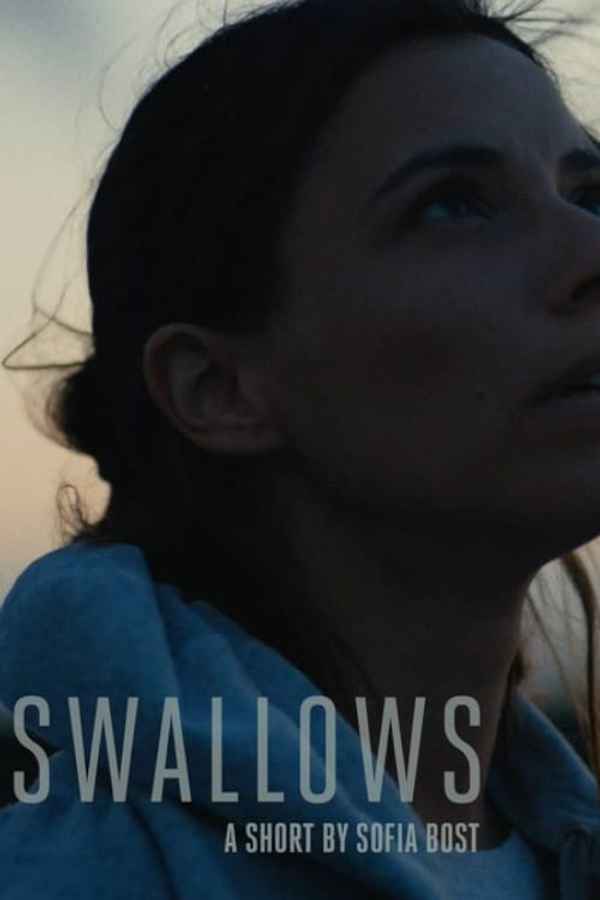 Swallows Poster 2