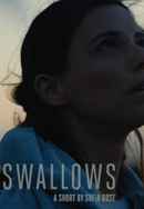 Swallows Poster 3