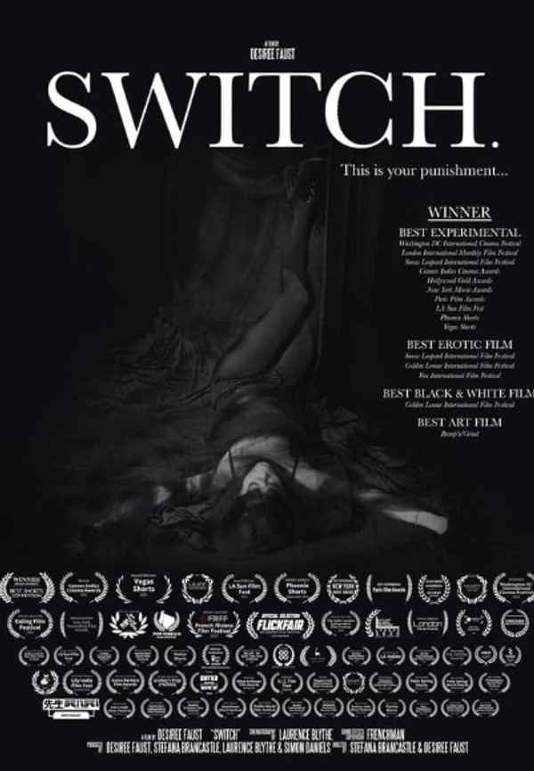 Switch Poster 5