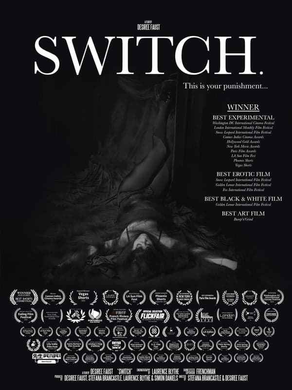 Switch Poster 4