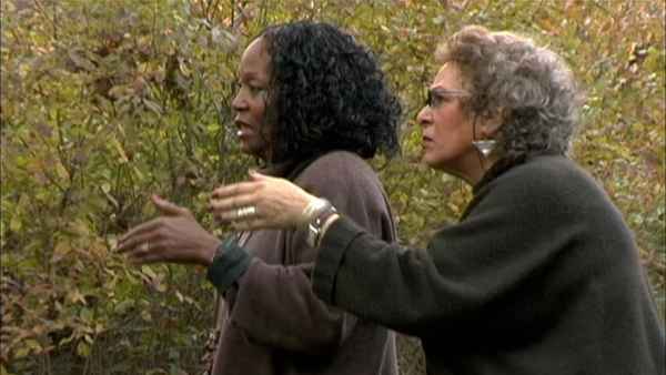 Symbiopsychotaxiplasm: Take 2 ½ Poster 3