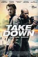 Take Down Poster 4