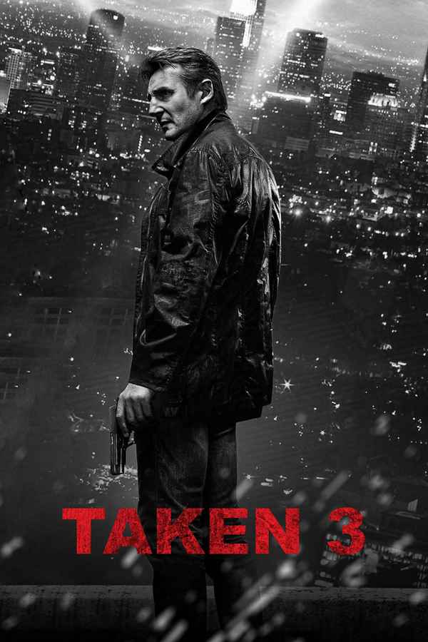 Taken 3 Poster 7