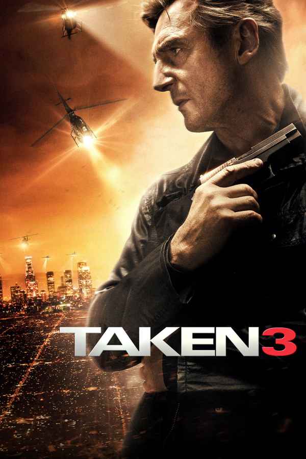 Taken 3 Poster 6