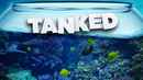 Tanked Poster 5