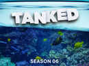 Tanked Poster 4