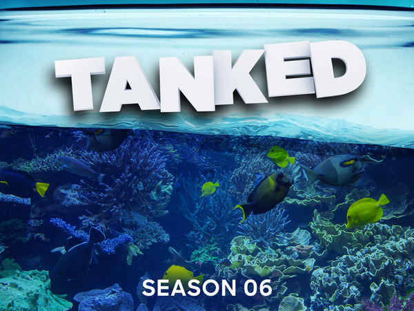 Tanked Poster 4