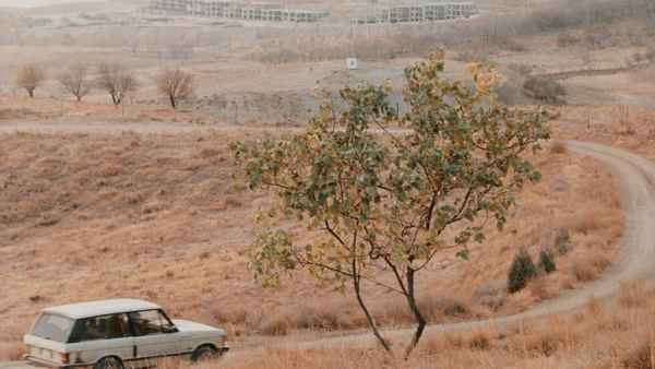 Taste of Cherry Poster 2