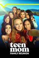 Teen Mom: Family Reunion Poster 7