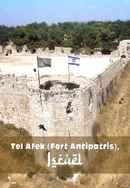 Tel Afek (Fort Antipatris), Israel Poster 2