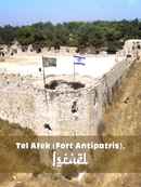 Tel Afek (Fort Antipatris), Israel Poster 1