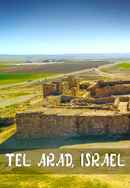 Tel Arad, Israel Poster 2