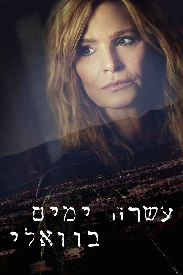 Ten Days in the Valley Poster 1