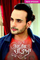 Tera Rang Chadeya Poster 2