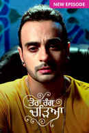 Tera Rang Chadeya Poster 3