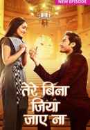 Tere Bina Jiya Jaye Naa Poster 1