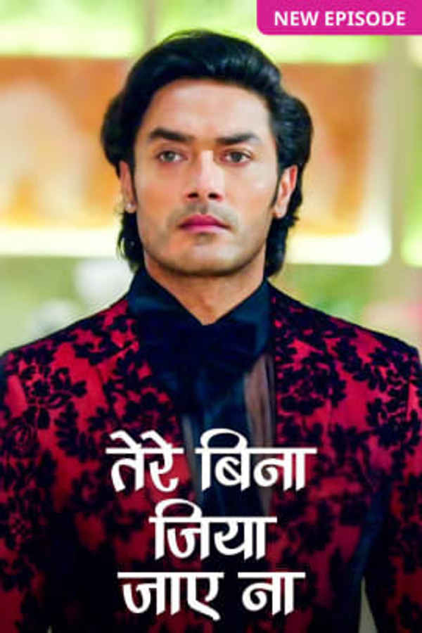 Tere Bina Jiya Jaye Naa Poster 4