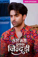 Teri Meri Ikk Jindri Poster 2