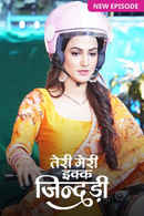 Teri Meri Ikk Jindri Poster 3