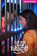 Teri Meri Ikk Jindri Poster 4