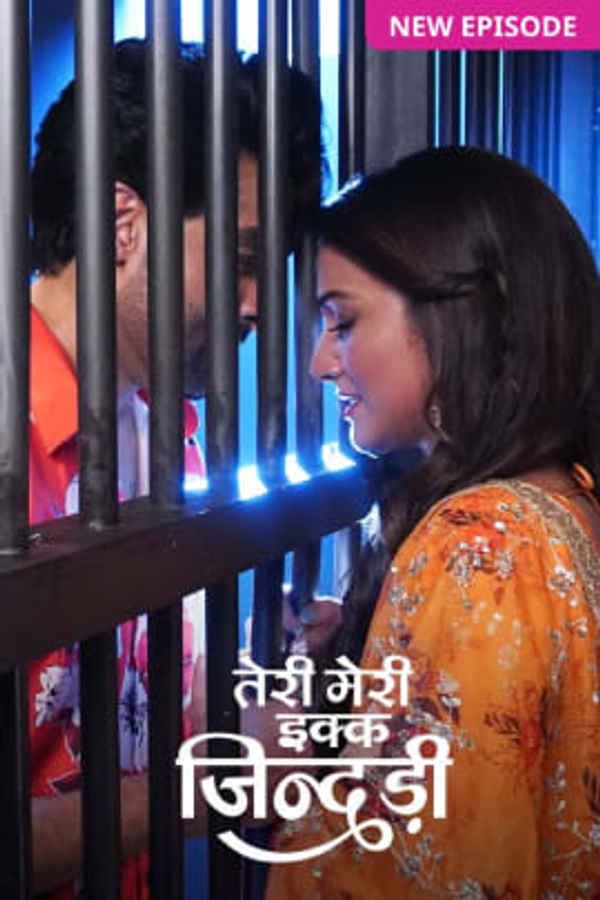 Teri Meri Ikk Jindri Poster 4