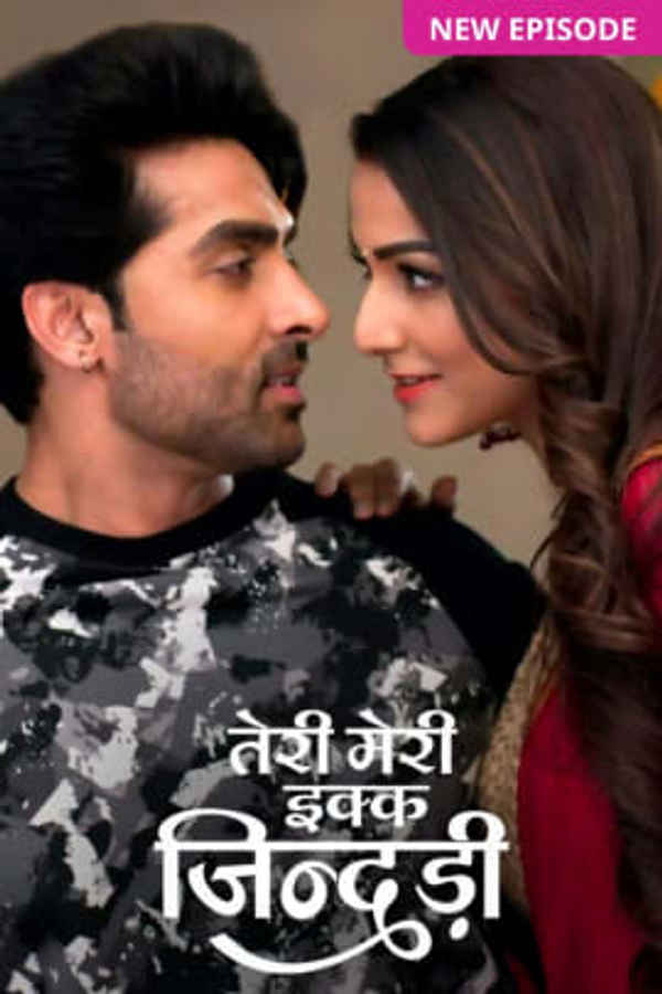 Teri Meri Ikk Jindri Poster 5