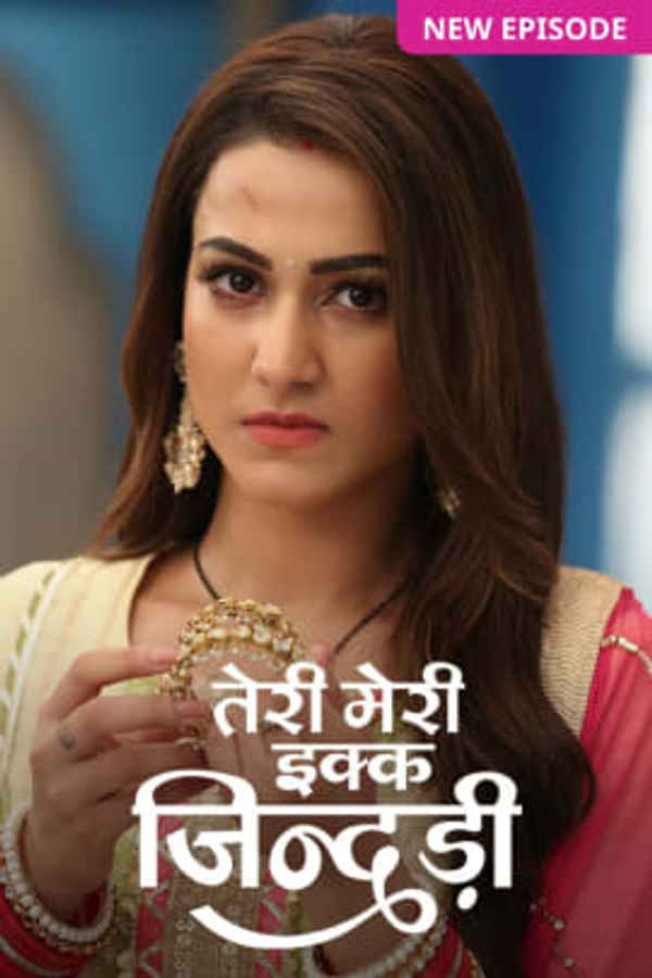 Teri Meri Ikk Jindri Poster 6