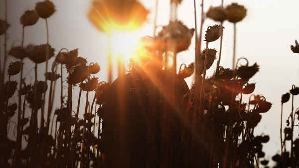 Texas Chainsaw Massacre Poster 4