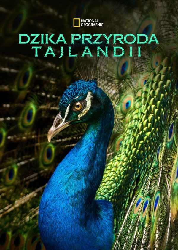 Thailand's Wild Side Poster 3