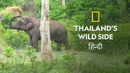 Thailand's Wild Side Poster 6