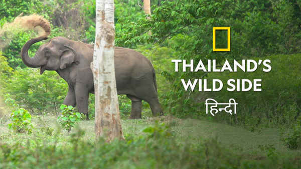 Thailand's Wild Side Poster 6